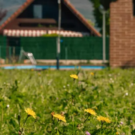 펜션 Entre Vinedos *