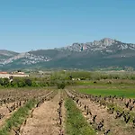Entre Vinedos