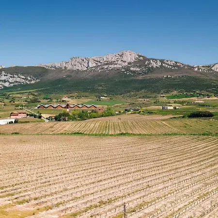 Entre Vinedos Holiday home Laguardia