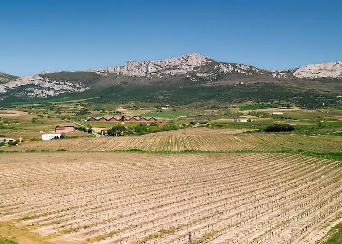 Entre Vinedos Дом отдыха Лягвардиа