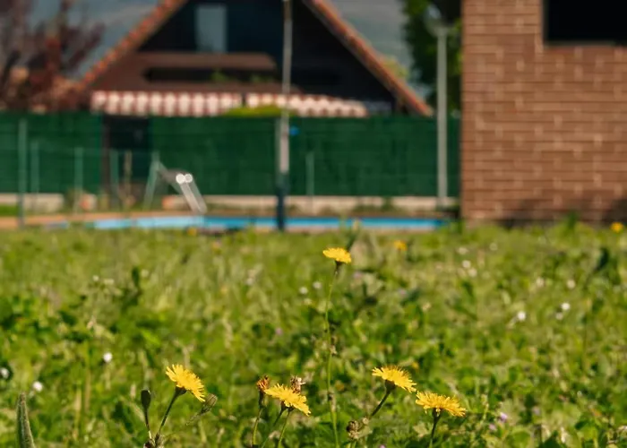 Дом отдыха Entre Vinedos *