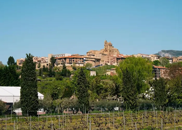 Дом отдыха Entre Vinedos *